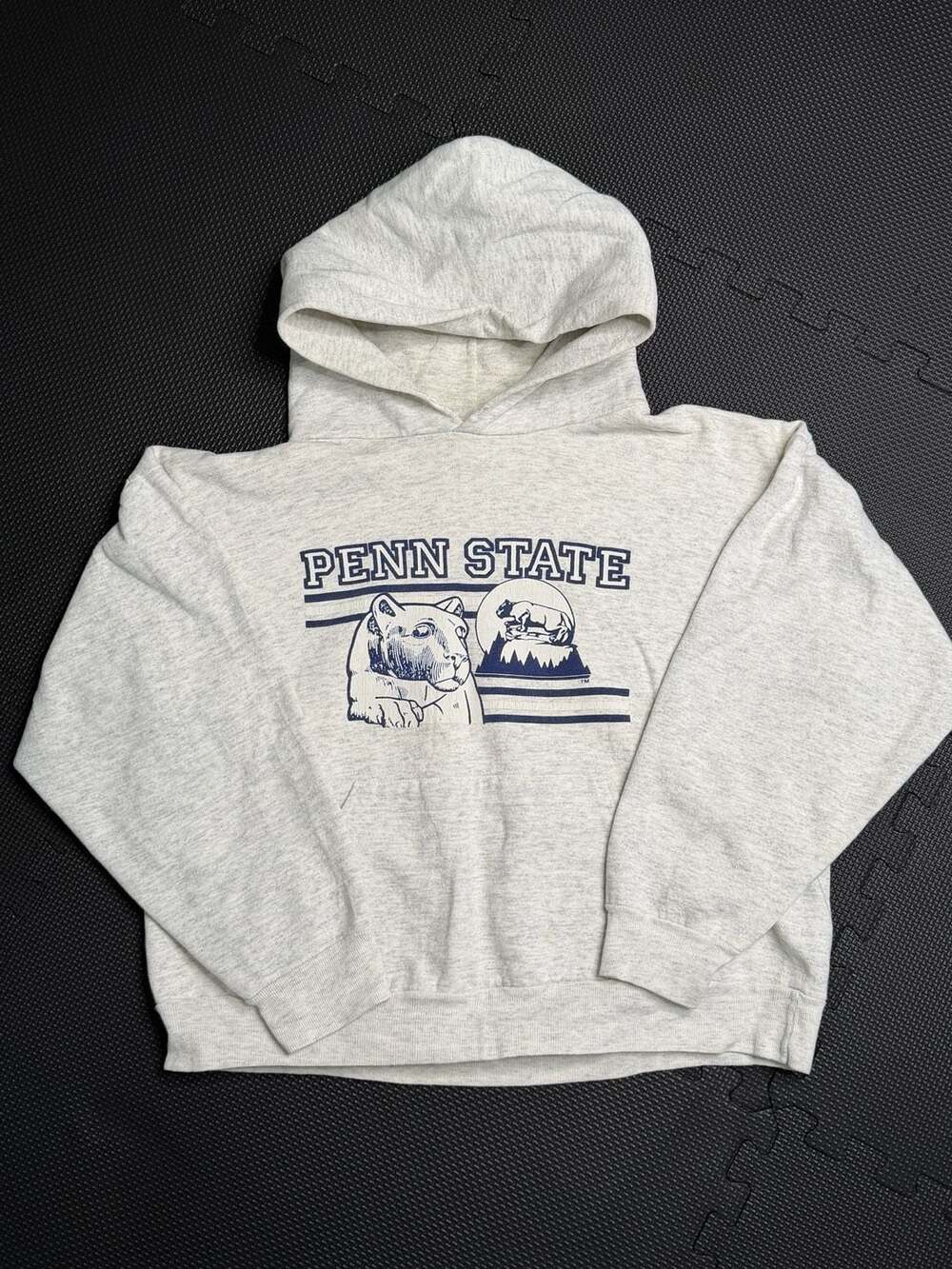 80s Vintage TNT by Trau & Loevner Penn State Nittany Lions Graphic Pullover Hood